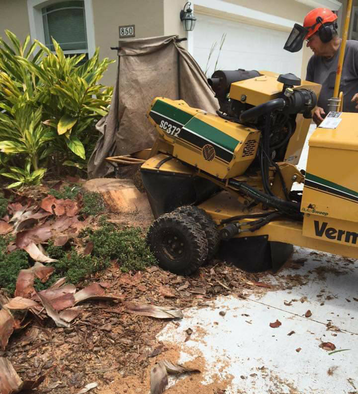 stump grinding